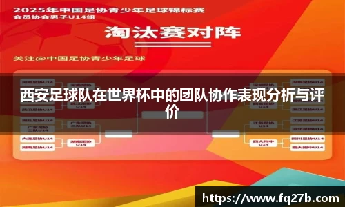 西安足球队在世界杯中的团队协作表现分析与评价
